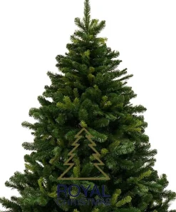 Royal Christmas - Kunstkerstboom - Rockford Spruce - 180 Cm - Pvc - 886 Takken - Zonder Verlichting Clearance