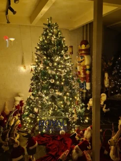 Royal Christmas - Kunstkerstboom - Hawaii Abies Nordmann Deluxe - 100% Pe - 500 Led - 210 Cm - 1442 Takken - Groen Shop