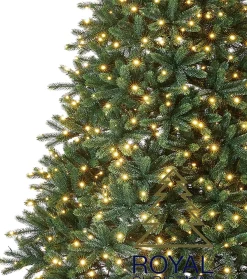 Royal Christmas - Kunstkerstboom - Hawaii Abies Nordmann Deluxe - 100% Pe - 500 Led - 210 Cm - 1442 Takken - Groen Shop