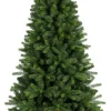 Royal Christmas - Natuurlijke Kunstkerstboom - Bergen Pe / Pvc Premium 210 Cm - 1139 Takken Groen Store