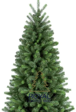 Royal Christmas - Natuurlijke Kunstkerstboom - Bergen Pe / Pvc Premium 210 Cm - 1139 Takken Groen Store