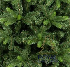 Royal Christmas - Natuurlijke Kunstkerstboom - Bergen Pe / Pvc Premium 210 Cm - 1139 Takken Groen Store