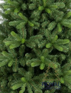 Royal Christmas - Natuurlijke Kunstkerstboom - Bergen Pe / Pvc Premium 210 Cm - 1139 Takken Groen Store
