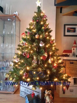 Royal Christmas t - Nepkerstboom Dakota - Lengte 180 Cm - Met 250 Geintegreerd Warm Led Lampjes - 498 Takken Outlet