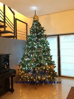 Royal Christmas t - Nepkerstboom Dakota - Lengte 180 Cm - Met 250 Geintegreerd Warm Led Lampjes - 498 Takken Outlet
