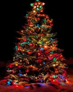 Luume Smart Gekleurde Kerstverlichting - 9 Meter Lang -Slimme Led Lichtslinger Voor Binnen En Buiten - 60 Ledlampjes - 16 Miljoen Kleuren Store