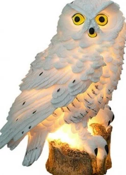 ABC-Led Solar Led Uiltje Wit - Neutraal Wit - Met Schemersensor En Prikpen Cheap