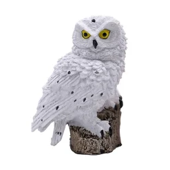 ABC-Led Solar Led Uiltje Wit - Neutraal Wit - Met Schemersensor En Prikpen Cheap