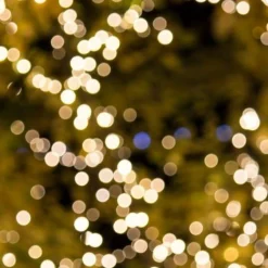 Solarwandlamp.nl Solar Lichtsnoer Led Buiten - 100 Lampen - Warm-Wit Licht - Tuinverlichting Op Zonne-Energie Best Sale