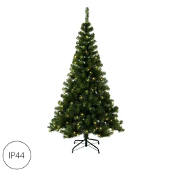 Star Trading Boom Ottawa Hot