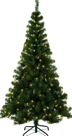 Star Trading Boom Ottawa Hot