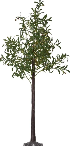 Star Trading Led-Decoboom Olivec, 1,8M Best