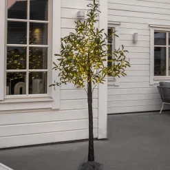 Star Trading Led-Decoboom Olivec, 1,8M Best