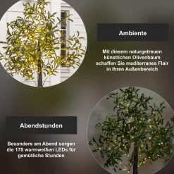 Star Trading Led-Decoboom Olivec, 1,8M Best
