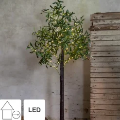 Star Trading Led-Decoboom Olivec, 1,8M Best