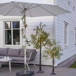 Star Trading Led-Decoboom Olivec, 1,8M Best