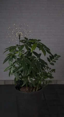 Star Trading Zonnepadverlichting Vuurwerk Solar Online