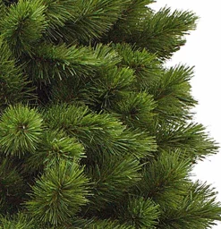 Triumph Tree - Camden Kerstboom Slim Groen Tips 423 - H185Xd94Cm - Kerstbomen (Franse Boom ) Best Sale