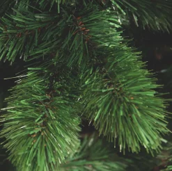 Triumph Tree - Camden Kerstboom Slim Groen Tips 423 - H185Xd94Cm - Kerstbomen (Franse Boom ) Best Sale