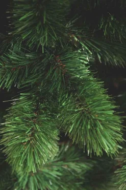 Triumph Tree - Camden Kerstboom Slim Groen Tips 195 - H120Xd69Cm - Kerstbomen (Franse Boom ) Flash Sale