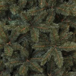 Triumph Tree - Forest Frosted Blauw Kerstboom Hoogte 215 Cm New