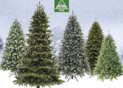 Triumph Tree - Forest Frosted Blauw Kerstboom Hoogte 215 Cm New