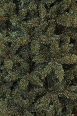 Triumph Tree - Forest Frosted Blauw Kerstboom Hoogte 215 Cm New