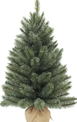 Triumph Tree - Forest Frosted Pine Christmas Tree Burlap/Potted Frosted, Newgrowth Blue - H90Xd61Cm Cheap