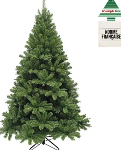 Triumph Tree - Forrester Kerstboom Groen Tips 1656 - H260Xd157Cm - Kerstbomen (Franse Boom ) Cheap