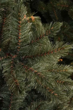 Triumph Tree - Kerstboom Forest Frosted H185D130 Newgrowth Blue Tips 942 Best