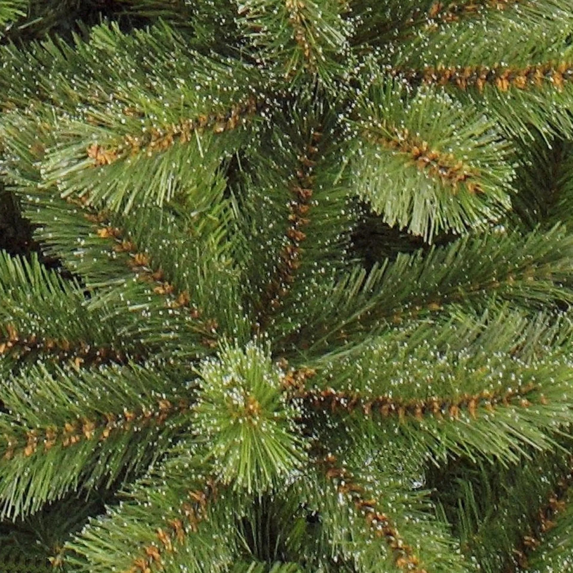 Triumph Tree - Kunstkerstboom - Forest Frosted Slim - Groen - 230Cm 230 Cm Clearance