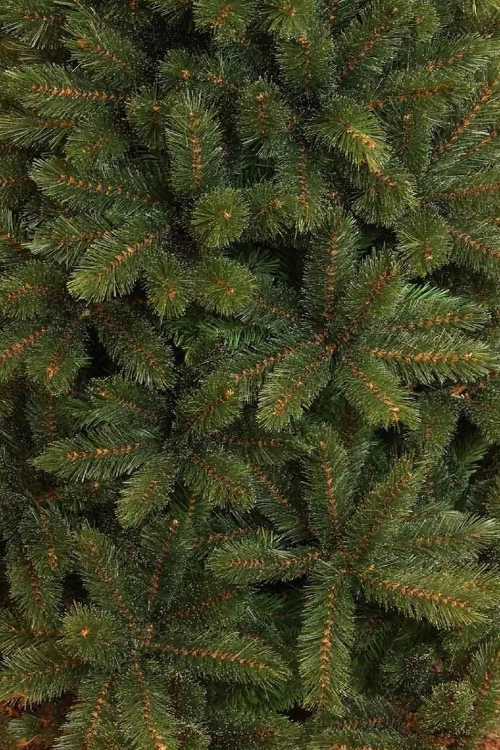 Triumph Tree - Kunstkerstboom - Forest Frosted Slim - Groen - 230Cm 230 Cm Clearance