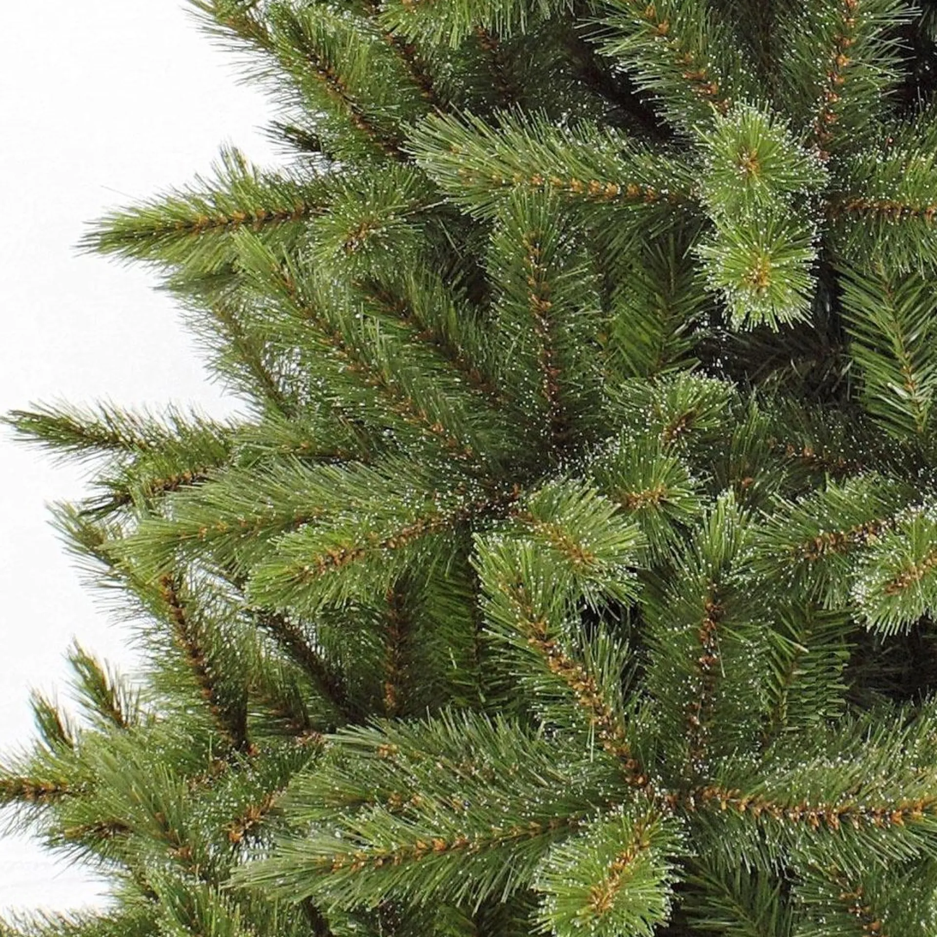Triumph Tree - Kunstkerstboom - Forest Frosted Slim - Groen - 230Cm 230 Cm Clearance