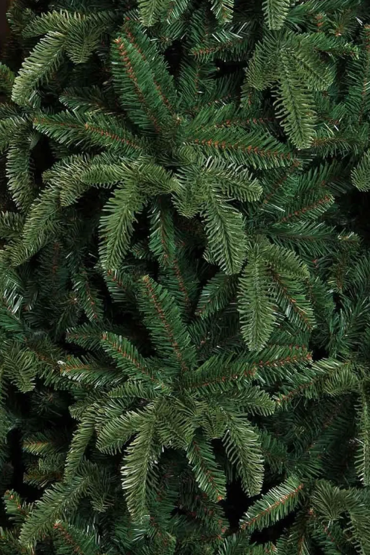 Triumph Tree Guirlandes> Abies Nordmann Guirlande - L180 Cm - Groen