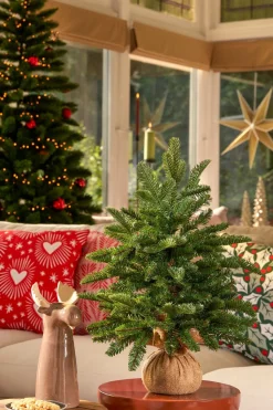 Triumph Tree Abies Nordmann Deluxe Kunstkerstboom - H60 X O53 Cm - Groen Shop