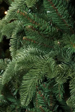 Triumph Tree Abies Nordmann Deluxe Kunstkerstboom - H60 X O53 Cm - Groen Shop