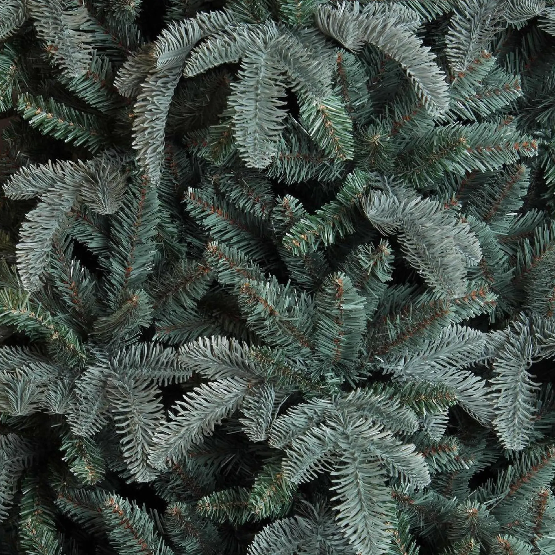 Triumph Tree Abies Nordmann Deluxe Kunstkerstboom 215 X 155 Cm - Forest Blue Fashion