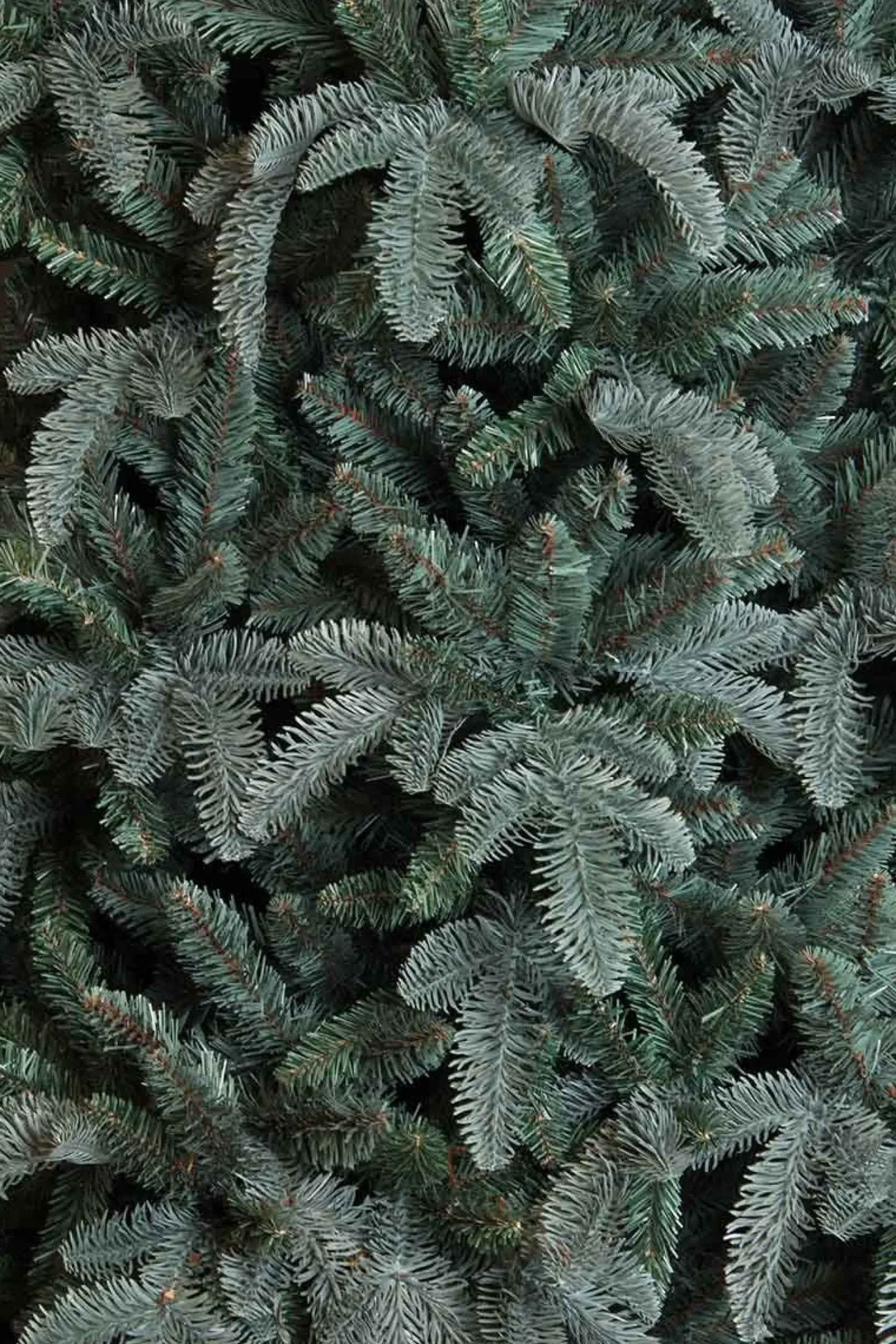 Triumph Tree Abies Nordmann Deluxe Kunstkerstboom 215 X 155 Cm - Forest Blue Fashion