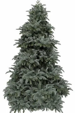 Triumph Tree Abies Nordmann Deluxe Kunstkerstboom 215 X 155 Cm - Forest Blue Fashion