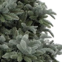 Triumph Tree Abies Nordmann Deluxe Kunstkerstboom 215 X 155 Cm - Forest Blue Fashion