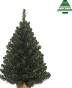 Triumph Tree Alpine Kunstkerstboom In Jute - H90 X O66 Cm - Groen Shop