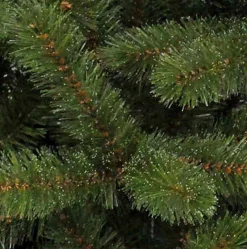 Triumph Tree Bristlecone Kunstkerstboom - H260 X O163 Cm - Groen 260 Cm Best