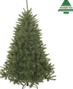 Triumph Tree Bristlecone Kunstkerstboom - H260 X O163 Cm - Groen 260 Cm Best