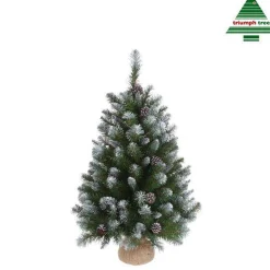 Triumph Tree Empress Spruce - Kunstkerstboom 60 Cm Hoog - Zonder Verlichting Shop