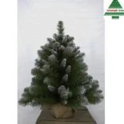 Triumph Tree Empress Spruce - Kunstkerstboom 60 Cm Hoog - Zonder Verlichting Shop