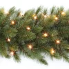 Triumph Tree Guirlandes> Forest Frosted Guirlande Met Led Verlichting - L270 Cm - Groen