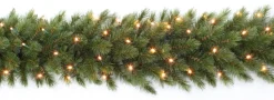 Triumph Tree Guirlandes> Forest Frosted Guirlande Met Led Verlichting - L270 Cm - Groen