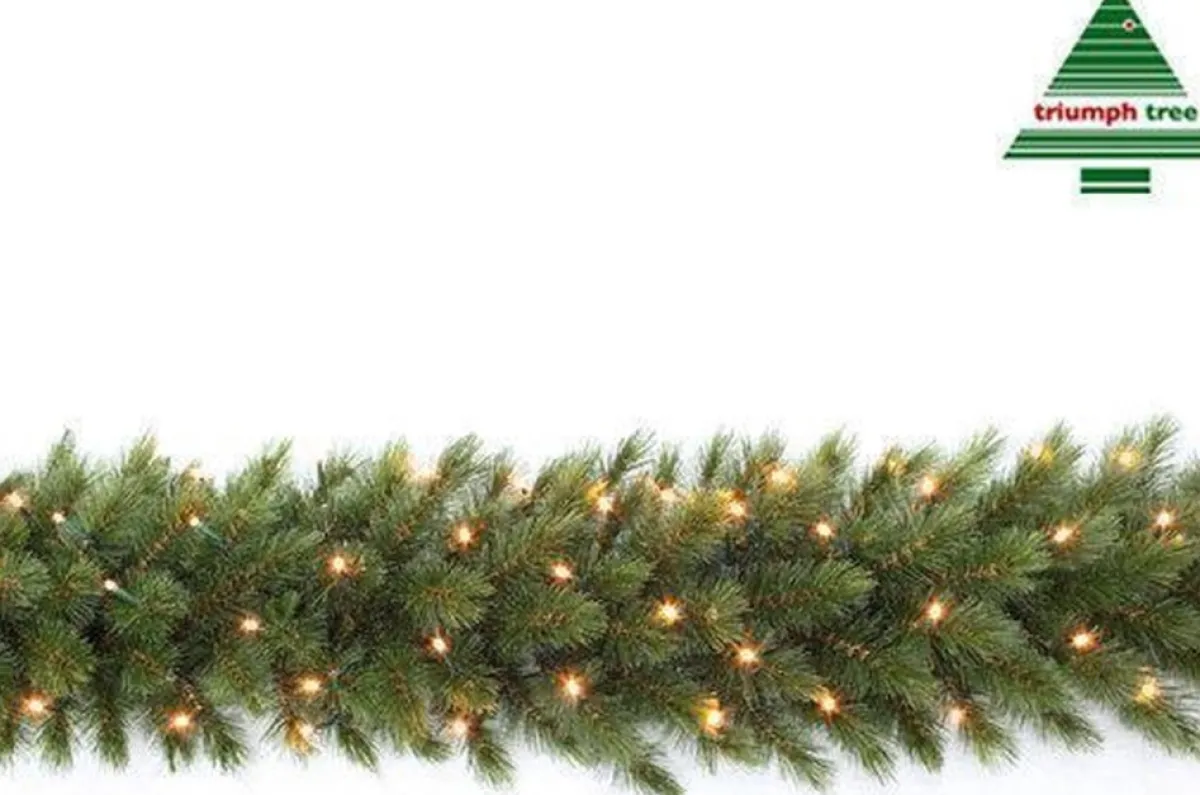 Triumph Tree Guirlandes> Forest Frosted Guirlande Met Led Verlichting - L270 Cm - Groen