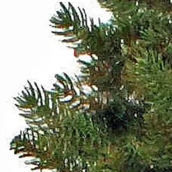 Triumph Tree Halve Kunstkerstboom Emerald Pine Maat In Cm: 215 X 114 Groen - Groen Best