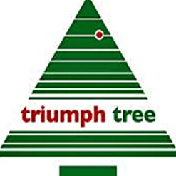 Triumph Tree Kunstkerstboom Forest Frosted Pine - 215 X 140 Cm - 304 Led Warm Wit - Donkergroen Hot